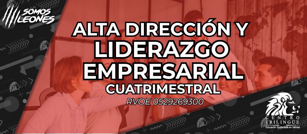 Alta direccion rojo
