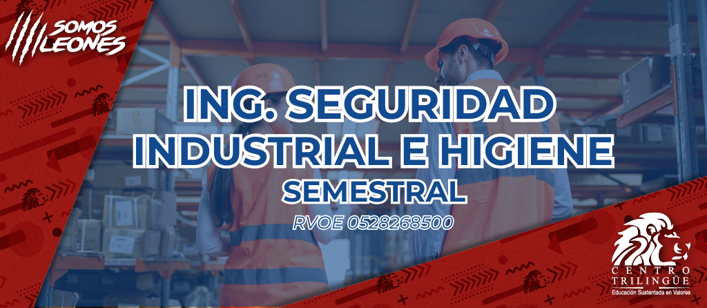 ING SEGURIDAD AZUL