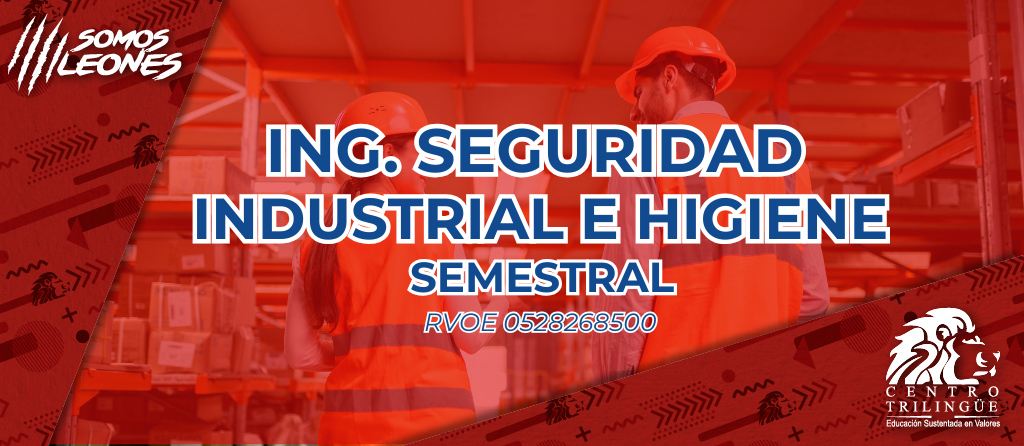 ING SEGURIDAD ROJA