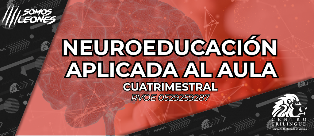 Neuroeducacion cuatri rojo