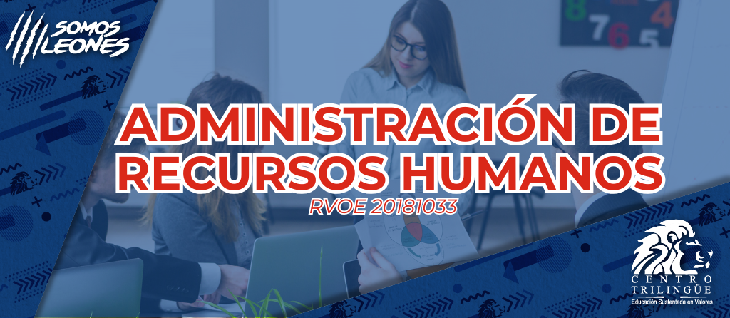admin recursos humanos azul