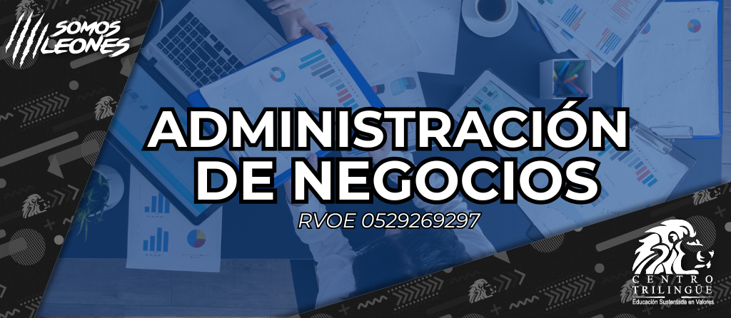 administracion negocios azul