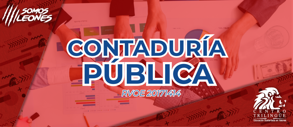 contaduria roja n