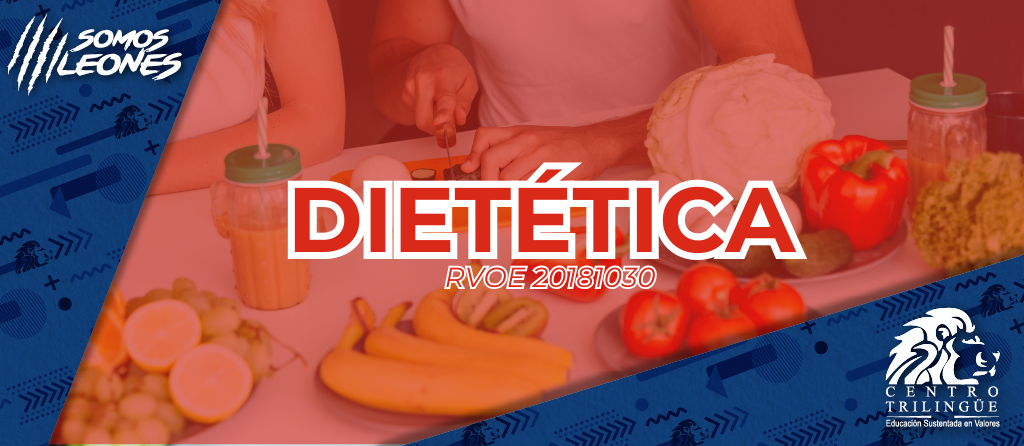 dieta n