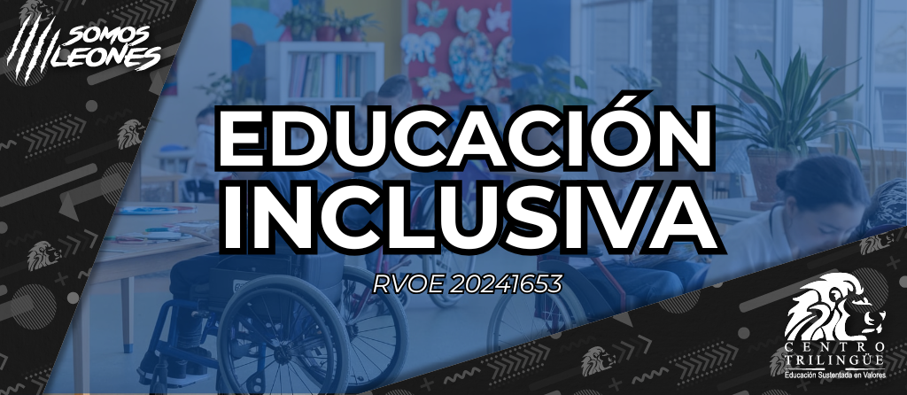 educacion inclusiva azul nn