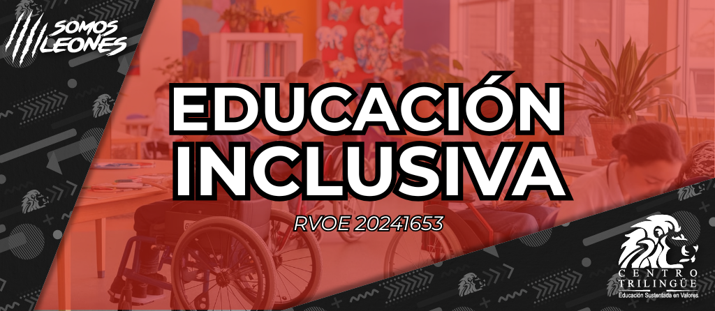educaicon inclusiva rojo