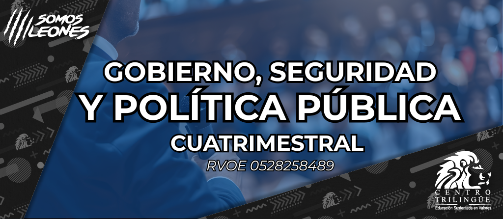 gobierno y seguridad azul