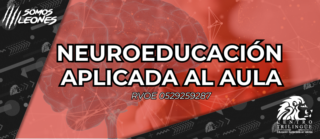 neuroeducacion rojo