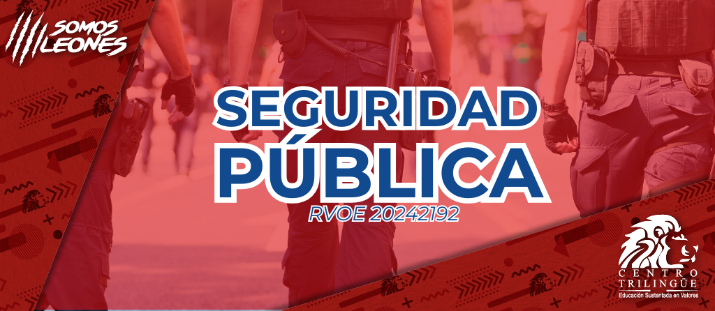 seguridad publica rojo