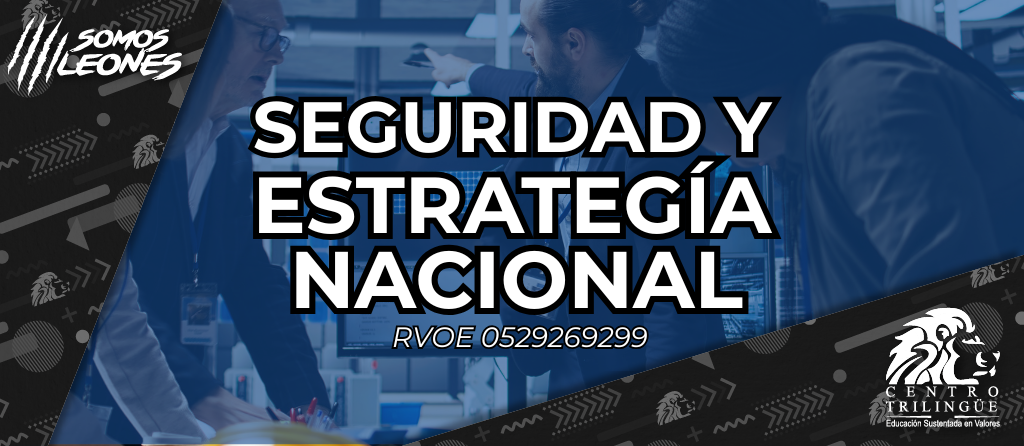 seguridad y estrategia nacional azul n