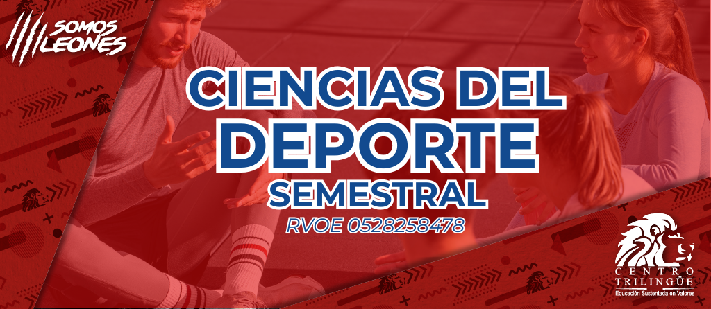 Plantilla Licenciatura