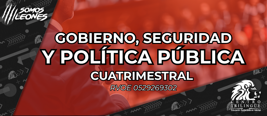 GOBIERNO SEGURIDAD Y POLITICA ROJO